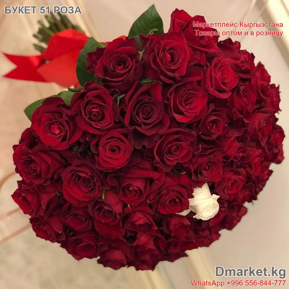 Букет из 51 розы 80 см R-00149, красные и одна белая роза