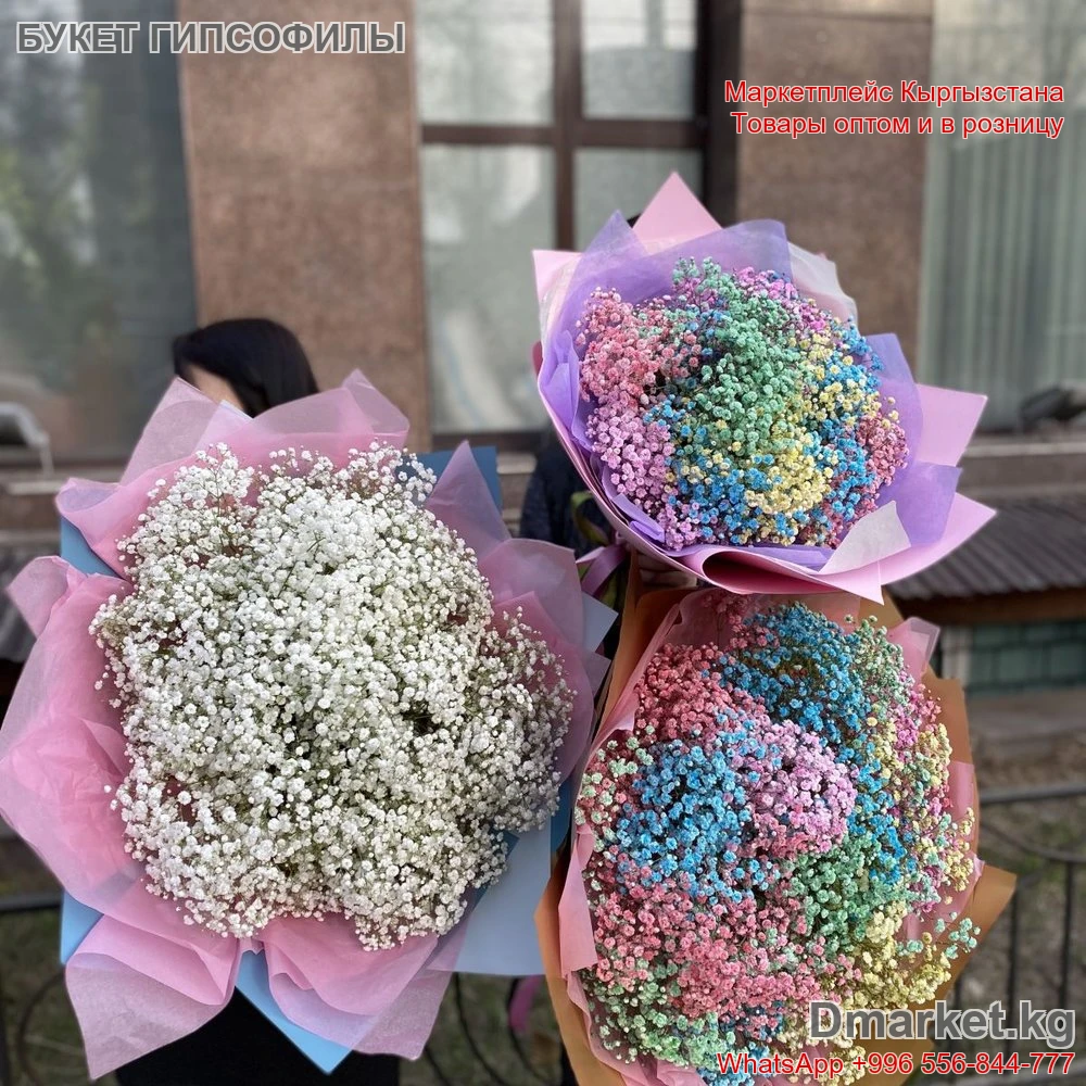 Букет гипсофилы в оформлении, свежие цветы, код: Гипсофил