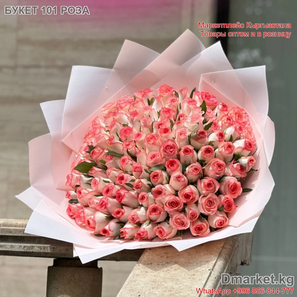 101 роза в букете премиум севрезовой упаковке, пудрово-розовые розы