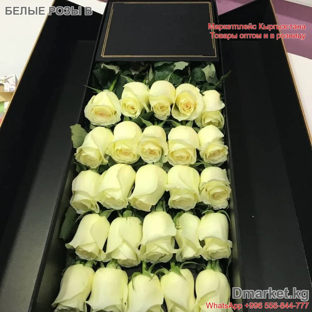 Роза в коробке 25 штук R-0033, бренд R-0033, свежие белые цветы