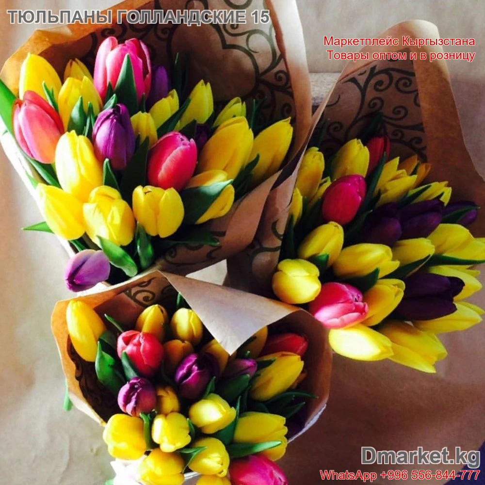 Тюльпаны Голландские 15 штук, разноцветный букет, модель R-0084