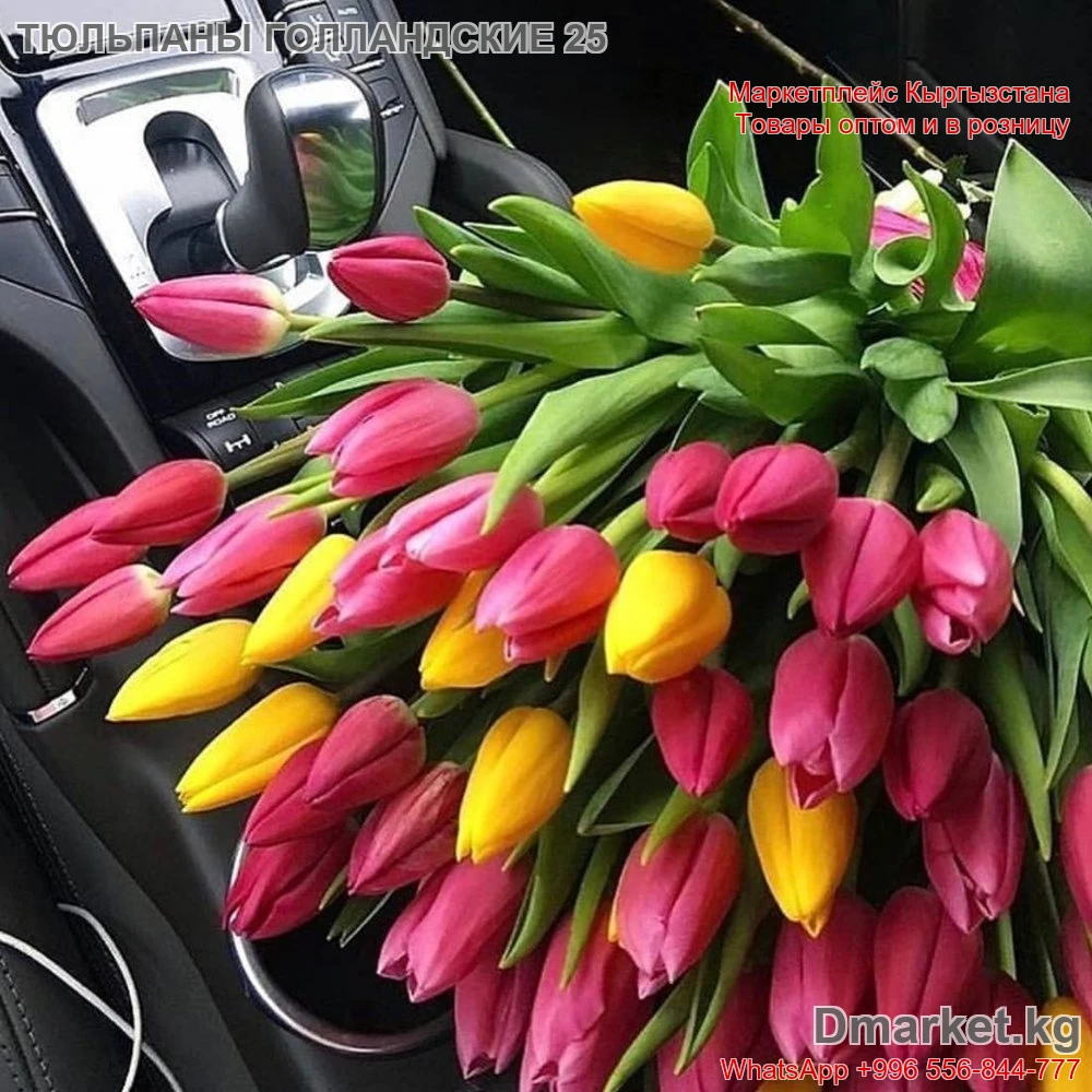 Тюльпаны Голландские 25 штук, свежий букет, модель R-0080 для подарка