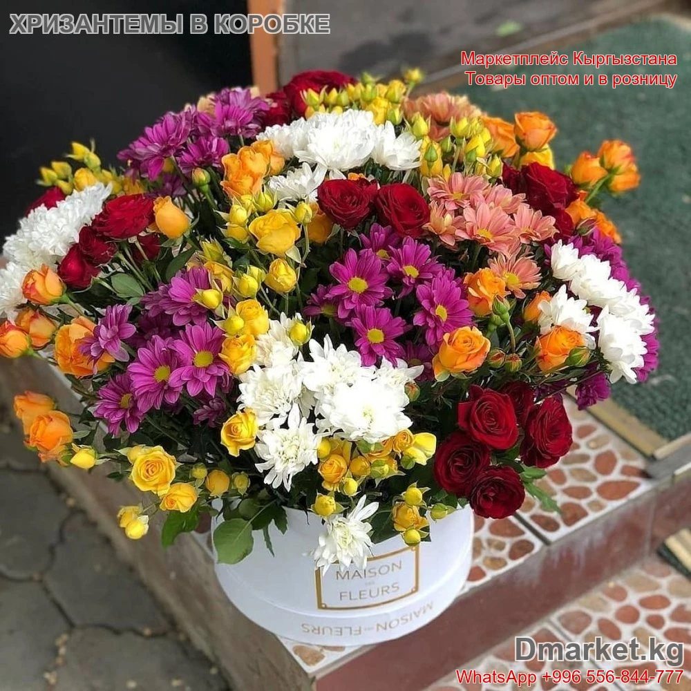 Хризантемы в коробке Maison Fleurs микс R-0074