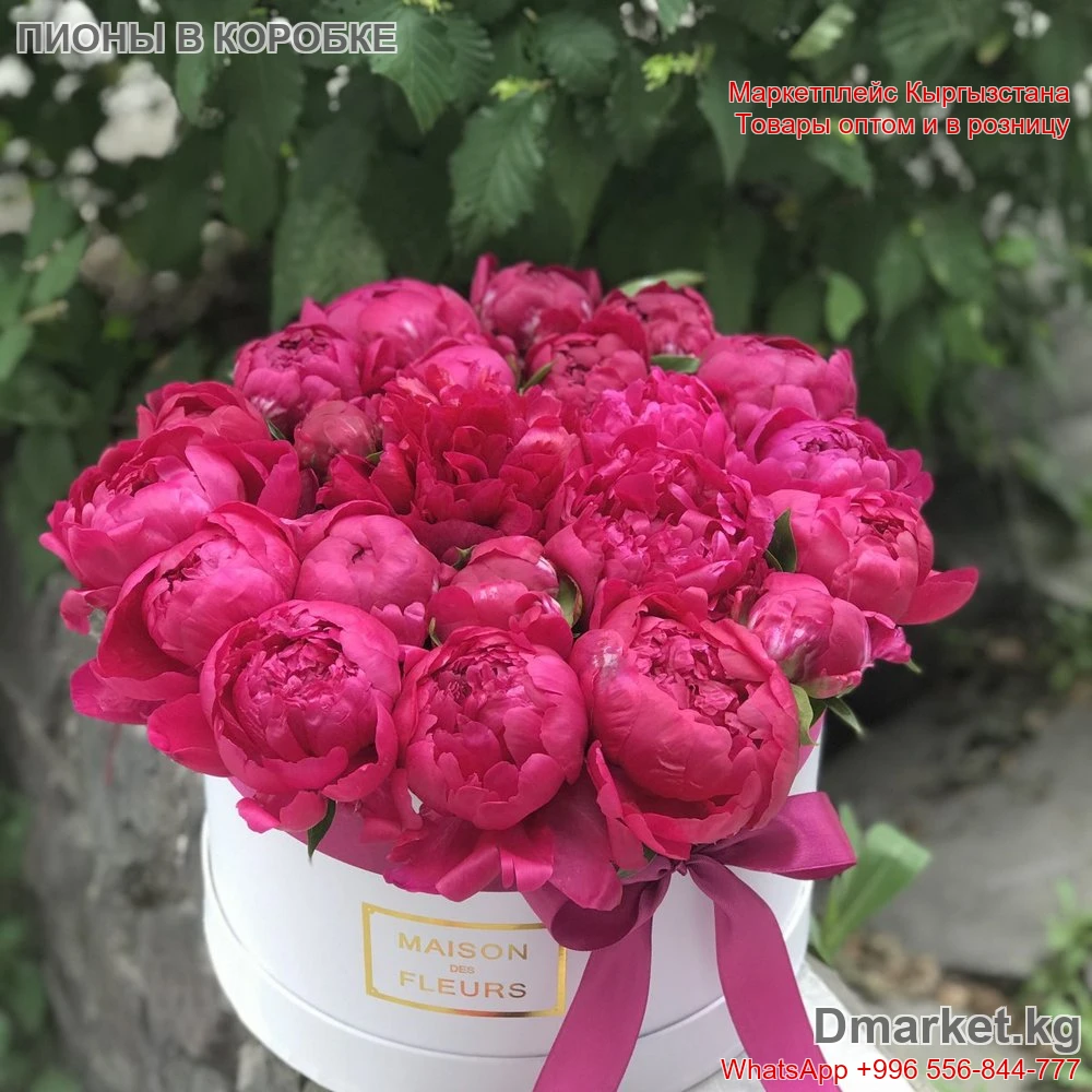 Пионы в коробке Maison des Fleurs Код R00153 великолепный подарок